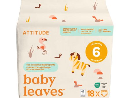 Attitude - Baby Training Pants Size 6, 18 Count Cheap