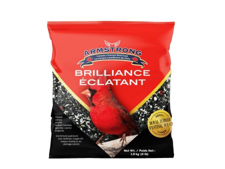 Armstrong - Brilliance, 1.8 kg Hot on Sale