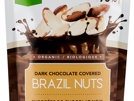 Green Sun Foods - Brazil Nuts Dipped 70% Dark Chocolate, 91 g Cheap